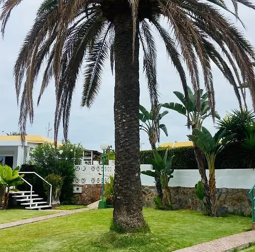 Dom wakacyjny Siena Center Playa Del Ingles Maspalomas (Gran Canaria)